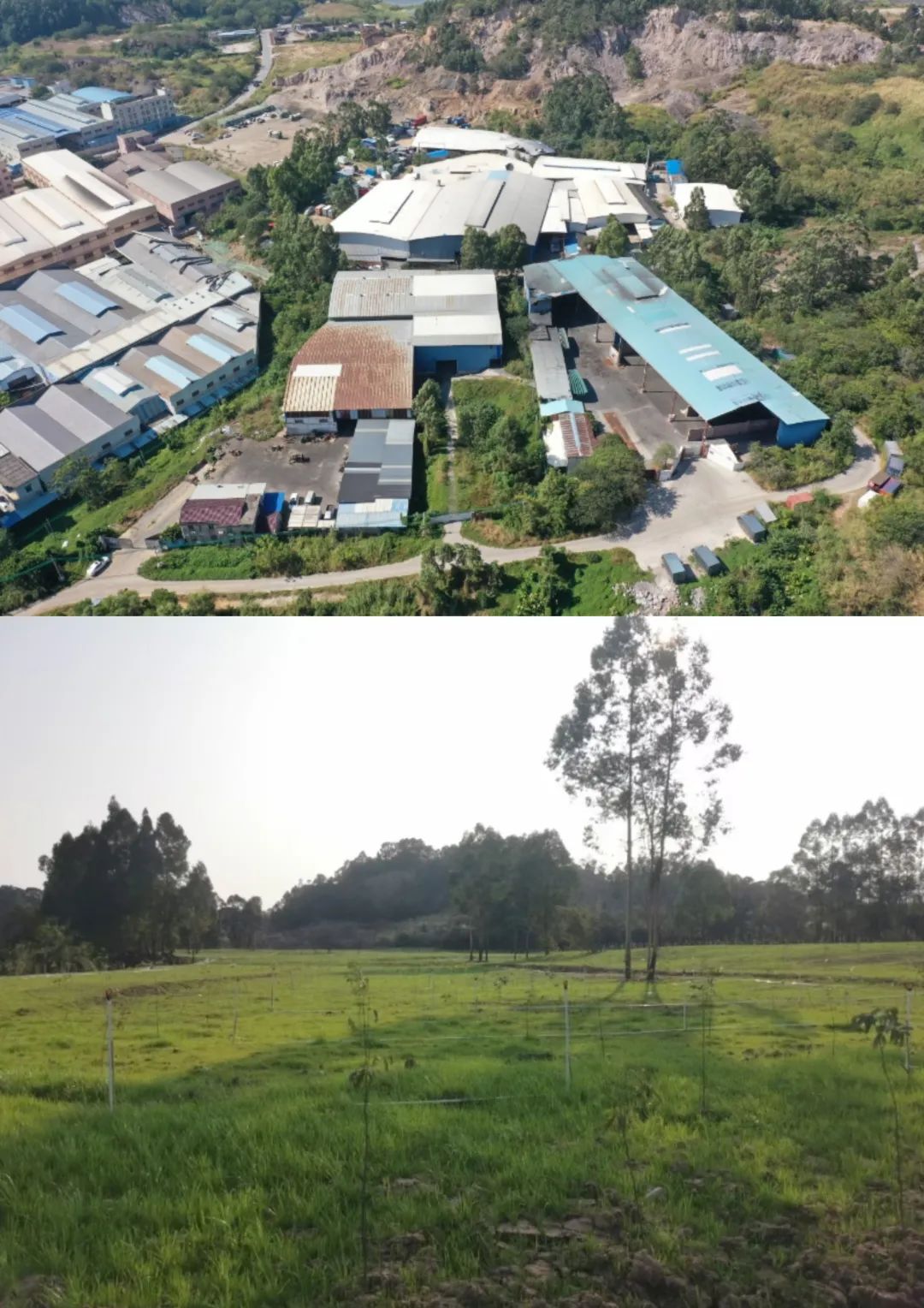 全域土地综合整治，南海全域土地综合整治2