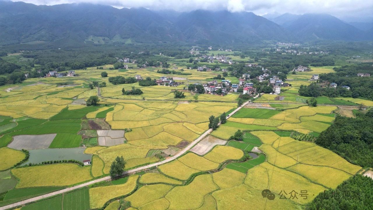 换个角度看耕地保护数智化转型 换个角度看耕地保护数智化转型