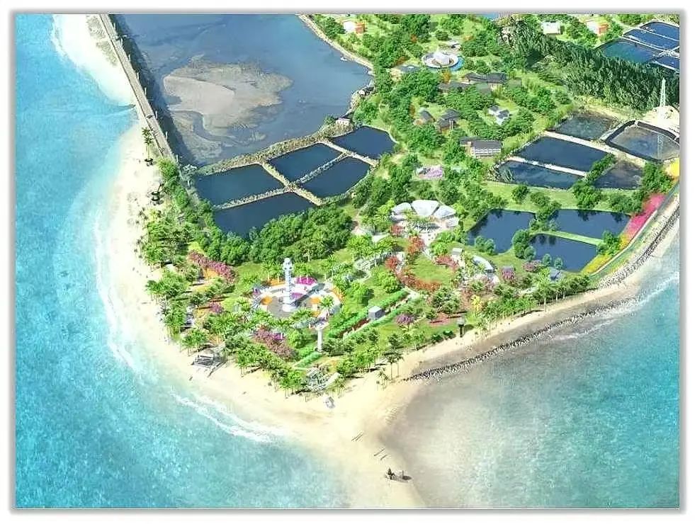 全域推动综合整治，湛江全域土地综合整治，徐闻全域土地综合整治，角尾乡区域土地综合整治1