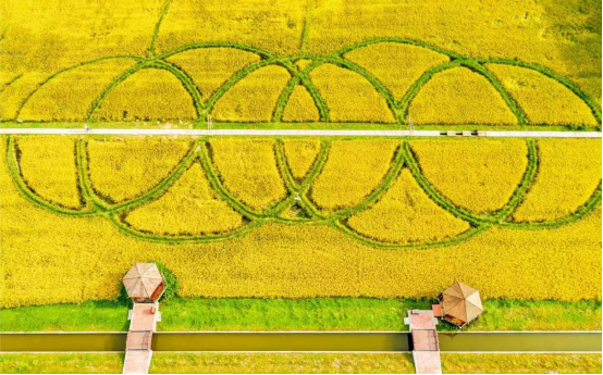 全域土地综合整治，广州全域土地综合整治，白云区全域土地综合整治1