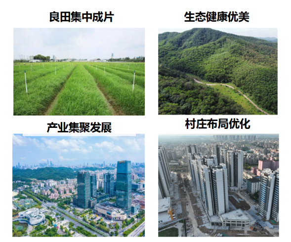 全域土地综合整治，广州全域土地综合整治，白云区全域土地综合整治2