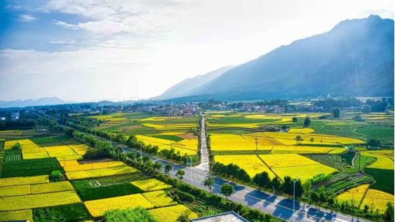 全域土地综合整治,广东全域土地综合整治,韶关全域土地综合整治,乳源全域土地综合整治1 全域土地综合整治,广东全域土地综合整治,韶关全域土地综合整治,乳源全域土地综合整治1