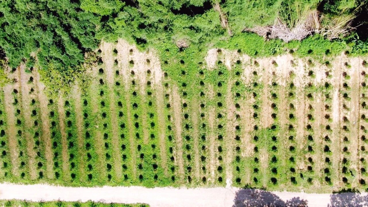 全域土地综合整治，广东全域土地综合整治，潮州市全域土地综合整治，归湖镇全域土地综合整治，溪美村全域土地综合整治2