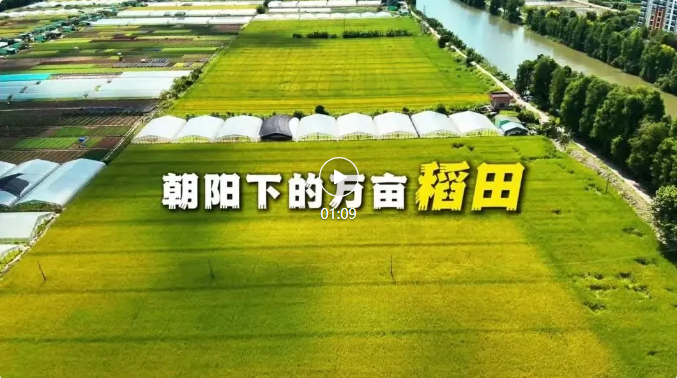 全域土地综合整治，广东全域土地综合整治，中山全域土地综合整治1