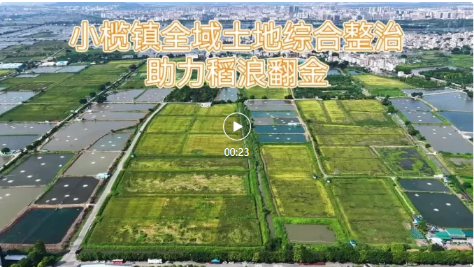 全域土地综合整治，广东全域土地综合整治，中山全域土地综合整治3