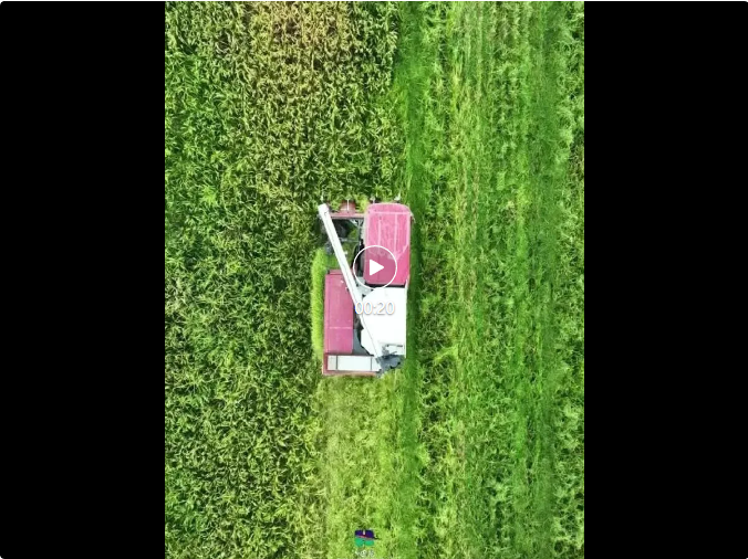 全域土地综合整治，广东全域土地综合整治，中山全域土地综合整治4