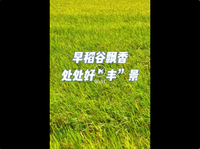 全域土地综合整治，广东全域土地综合整治，中山全域土地综合整治5