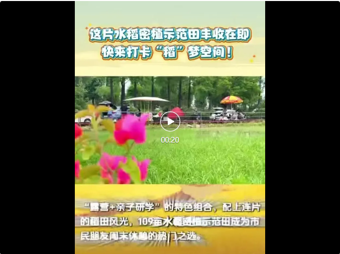 全域土地综合整治，广东全域土地综合整治，中山全域土地综合整治6