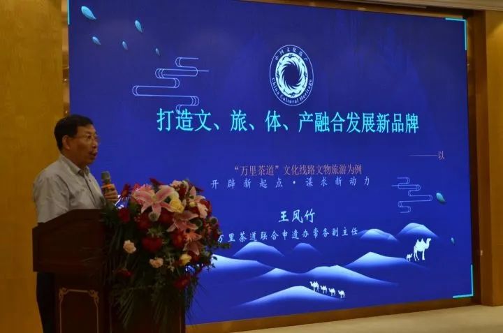 湖北省文物事业发展中心研究员王风竹作报告