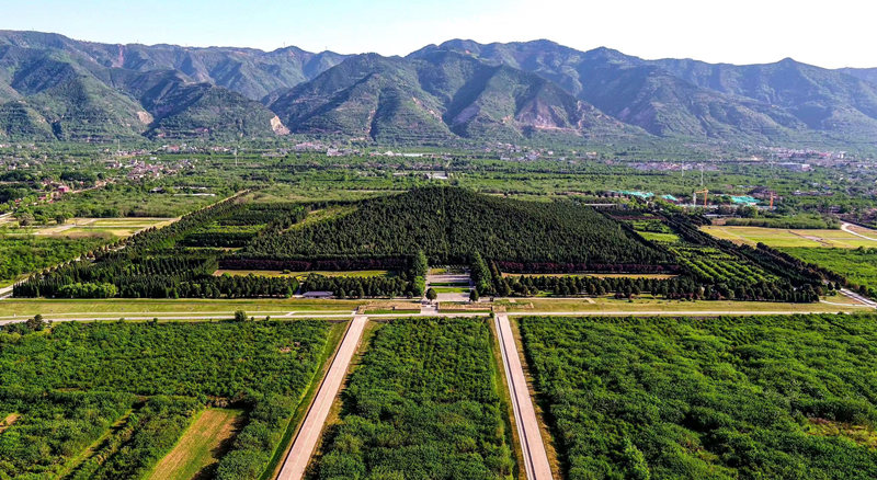 智慧博物馆，陕西中法合作开展木质遗存与土遗址保护科学研究