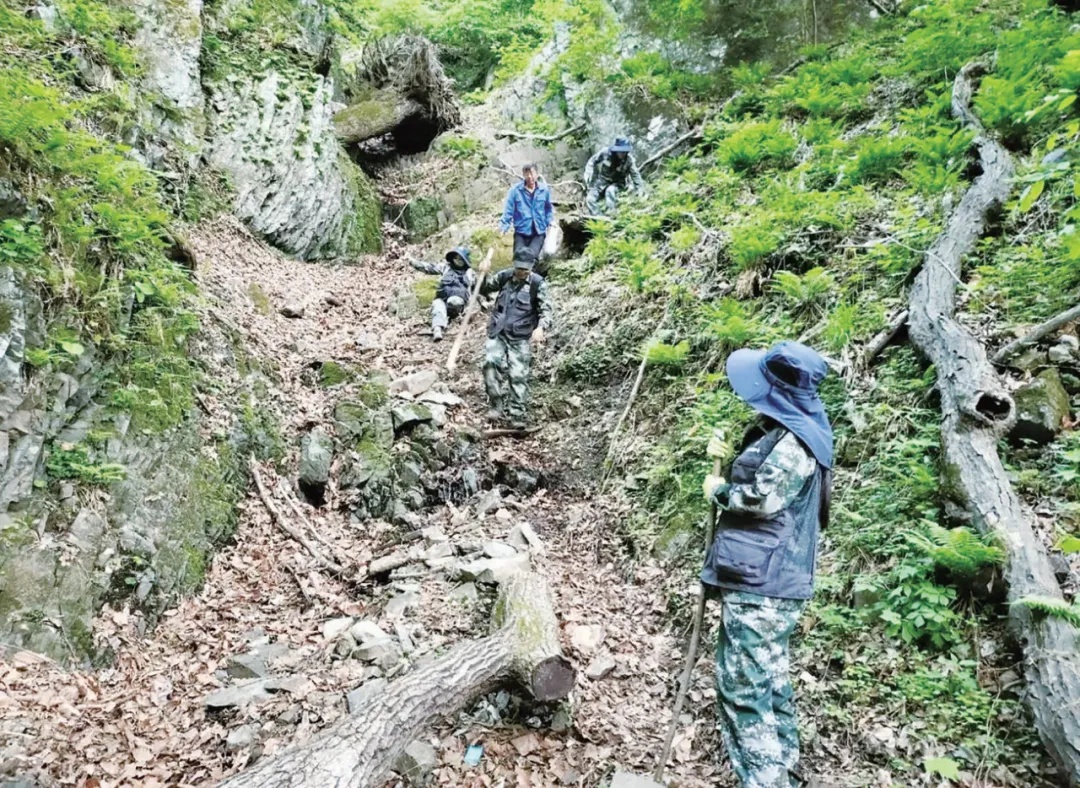 全国第四次文物普查