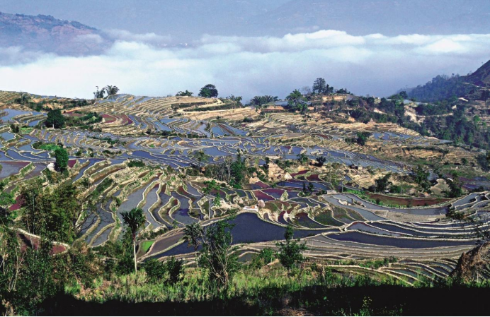智慧博物馆,乡村振兴2 智慧博物馆,乡村振兴2