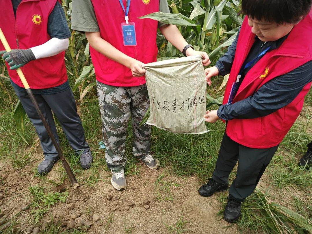 智慧博物馆,山东智慧博物馆1 智慧博物馆,山东智慧博物馆1