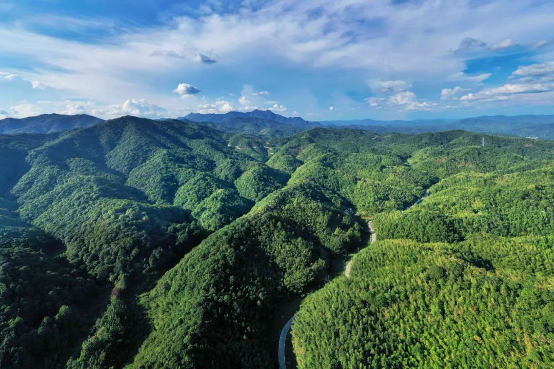 全域土地综合整治，广东全域土地综合整治，林改，广东林改1