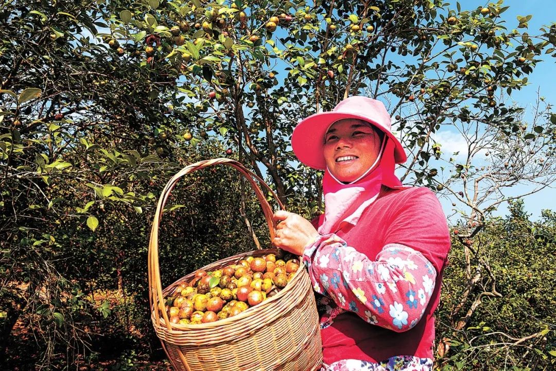 全域土地综合整治，广东全域土地综合整治，林改，广东林改6