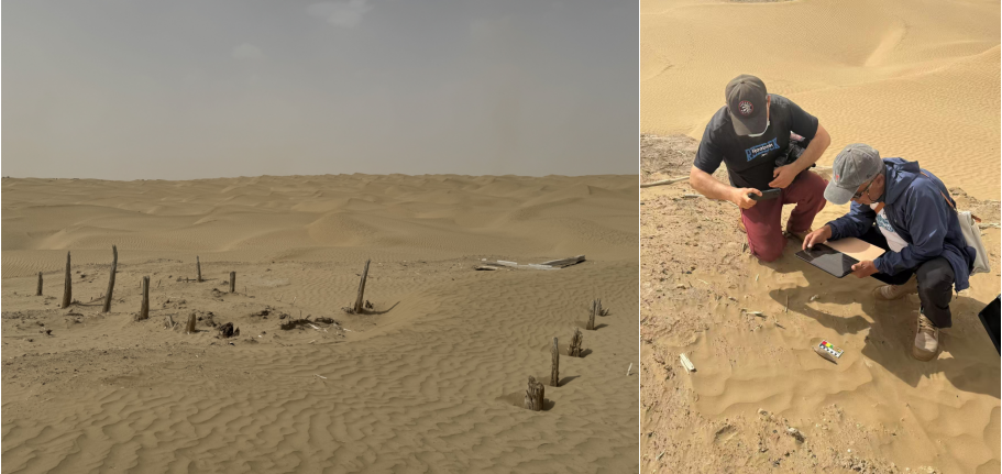 智慧博物馆，智慧博物馆建设，智慧博物馆解决方案，文物普查，四普，第四次全国文物普查2