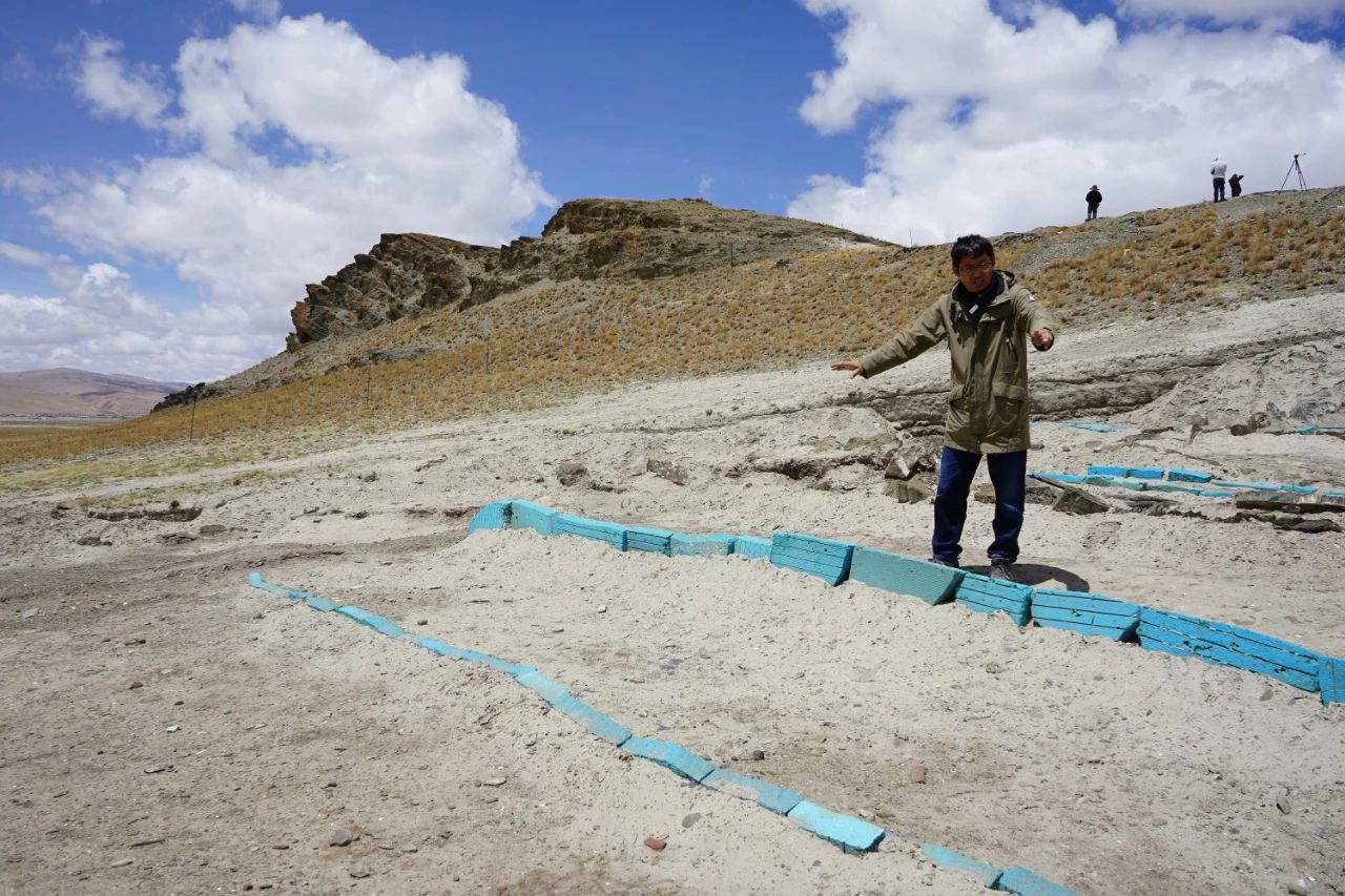 智慧博物馆，智慧博物馆建设，智慧博物馆解决方案，智慧考古1