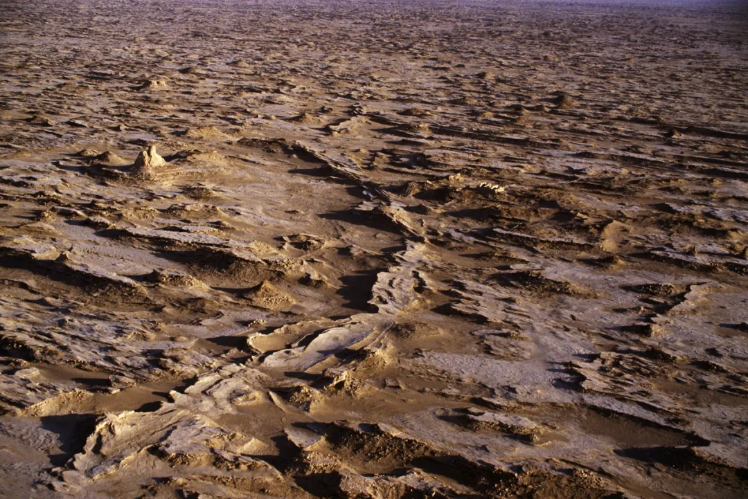 智慧博物馆，智慧博物馆建设，智慧博物馆解决方案，智慧文化遗产保护8
